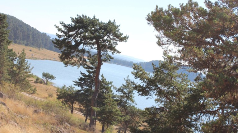 Bolu Göksu Tabiat Kampı